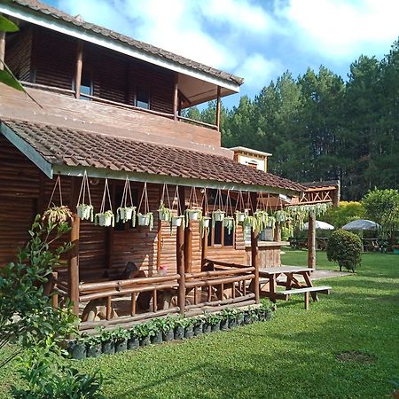 Villa Fresh Line Bongkar Oda fotoğraf